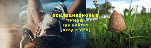 тгк Богданович